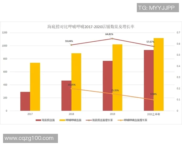 上海排球队防反战术革新探索与实践的深度分析与展望