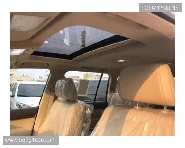 杭州羽毛球队在洲际杯积分榜中以51分稳居第一名展现强劲实力