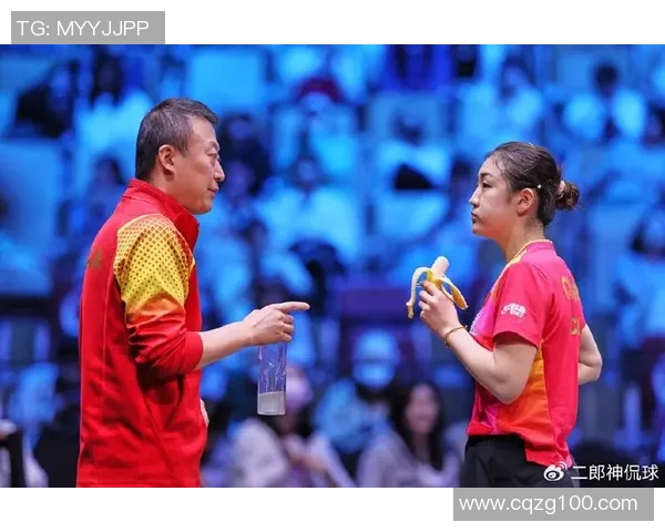 深圳排球队战术表现深度解析与大满贯点评