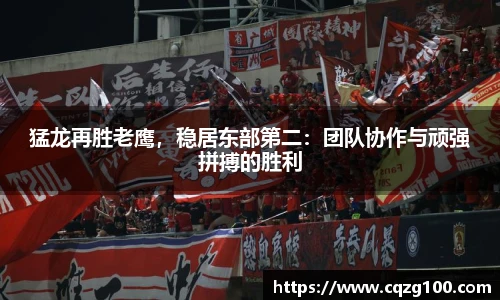 猛龙再胜老鹰，稳居东部第二：团队协作与顽强拼搏的胜利