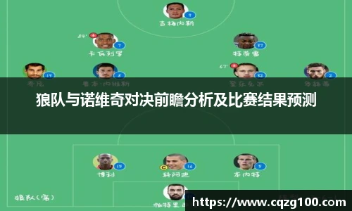 狼队与诺维奇对决前瞻分析及比赛结果预测