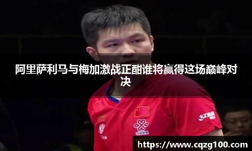 BB贝博登录入口