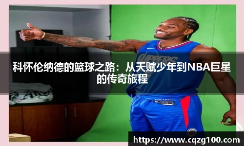 BB贝博